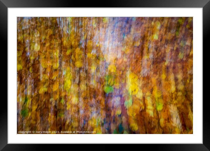Impressions of autumn leaves Framed Mounted Print by Gary Holpin
