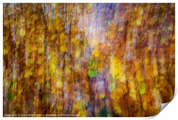 Impressions of autumn leaves Print by Gary Holpin