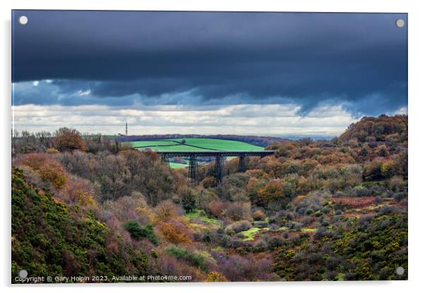 Autumn at the Meldon viaduct Acrylic by Gary Holpin