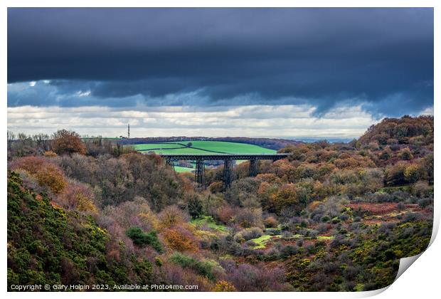 Autumn at the Meldon viaduct Print by Gary Holpin