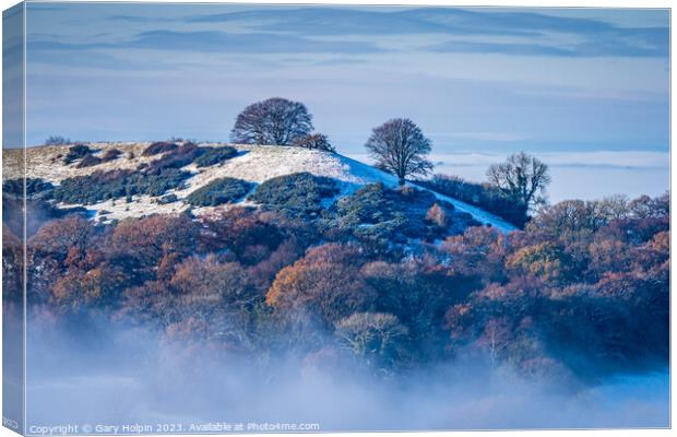 Hill in a winter mist Canvas Print by Gary Holpin