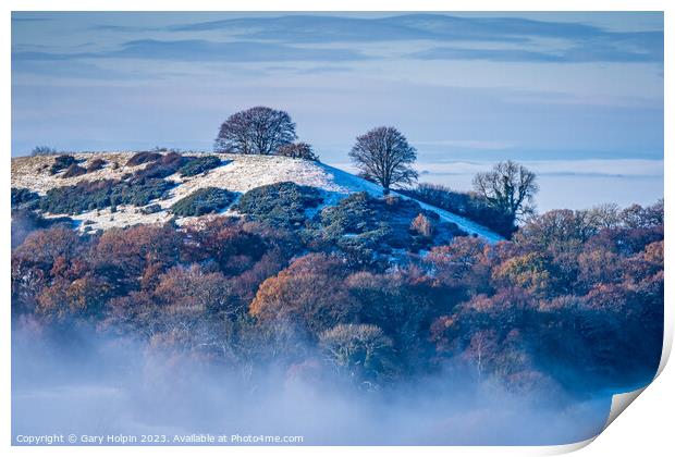 Hill in a winter mist Print by Gary Holpin
