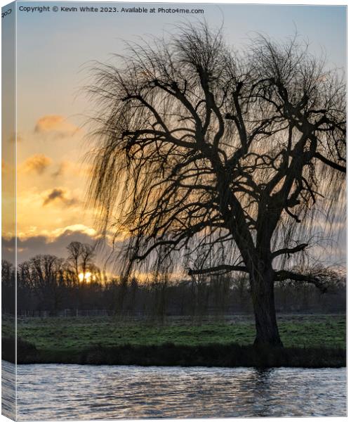 Winter sunrise with willow tree silhouette Canvas Print by Kevin White