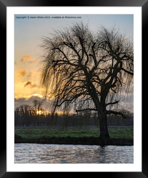 Winter sunrise with willow tree silhouette Framed Mounted Print by Kevin White