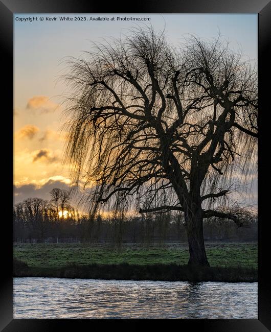 Winter sunrise with willow tree silhouette Framed Print by Kevin White