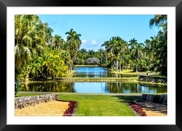 Palm Trees Reflection Fairchild Garden Coral Gables Florida Framed Mounted Print by William Perry