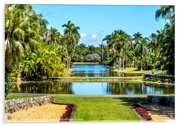 Palm Trees Reflection Fairchild Garden Coral Gables Florida Acrylic by William Perry