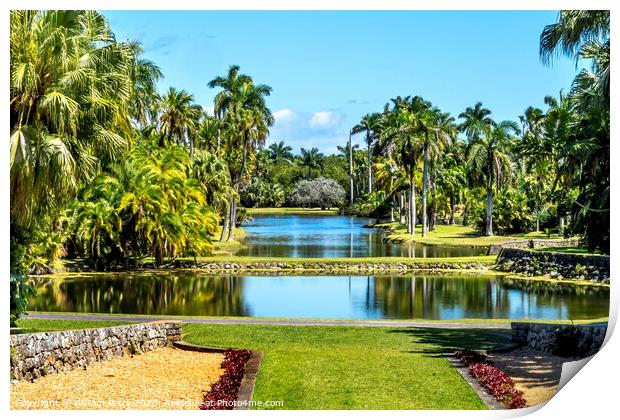 Palm Trees Reflection Fairchild Garden Coral Gables Florida Print by William Perry