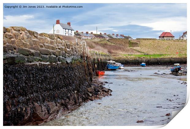 Seaton Sluice Harbour in January sunshine Print by Jim Jones