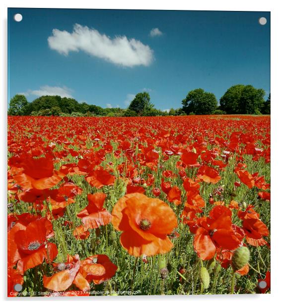 Cotswolds Poppy field Acrylic by Simon Johnson