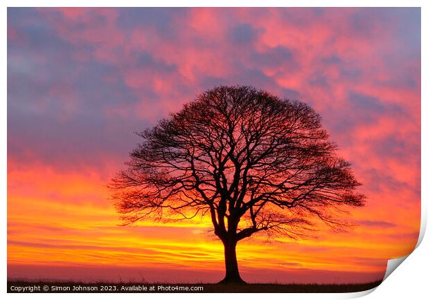 Tree silhouette at sunrise  Print by Simon Johnson