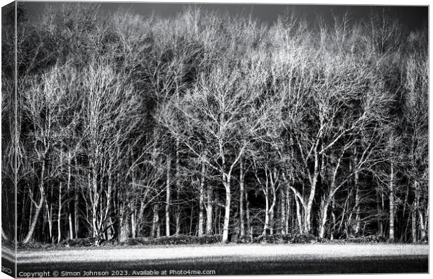 Sunlit woodland in monochrome  Canvas Print by Simon Johnson
