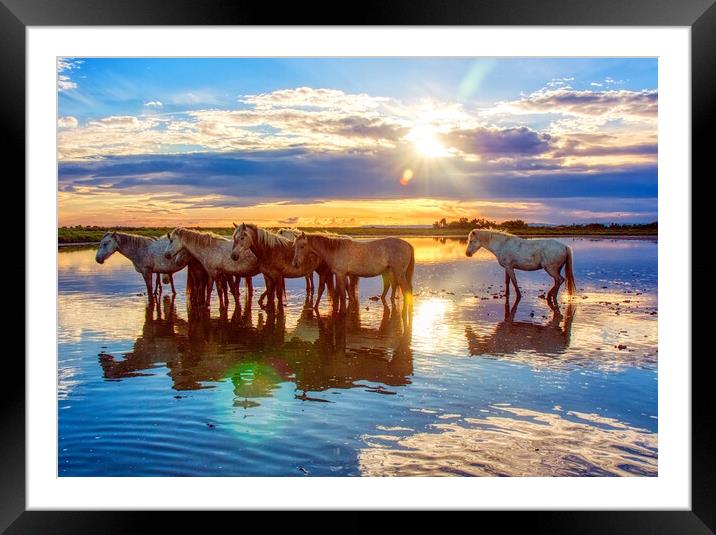 Serene Camargue Sunrise Framed Mounted Print by Helkoryo Photography