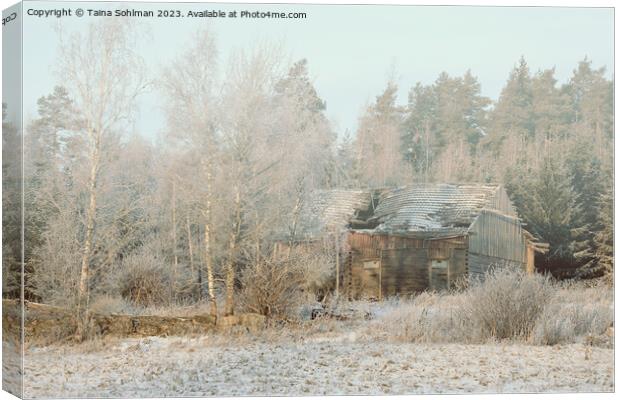Abandoned Wooden Farm Building in Winter Canvas Print by Taina Sohlman