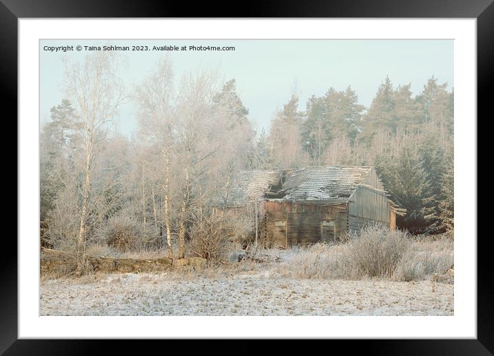 Abandoned Wooden Farm Building in Winter Framed Mounted Print by Taina Sohlman
