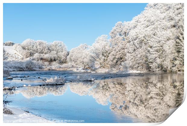 Ice and frost on trees reflected in the River Teviot Print by Dave Collins