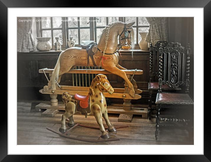 HORSE PLAY Framed Mounted Print by CATSPAWS 