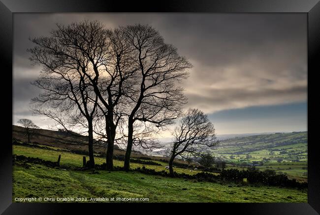 Winter Trees at Roach End Framed Print by Chris Drabble
