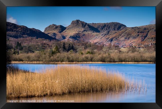 Pikes and Reeds Framed Print by Rick Bowden