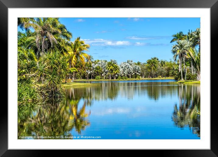 Palm Trees Reflection Fairchild Garden Coral Gables Florida Framed Mounted Print by William Perry