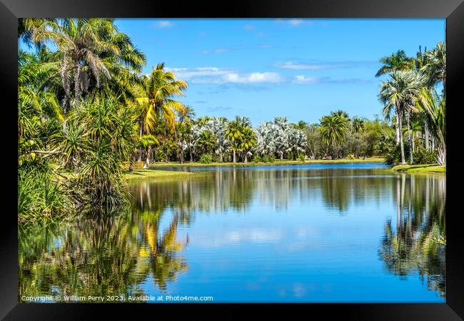 Palm Trees Reflection Fairchild Garden Coral Gables Florida Framed Print by William Perry