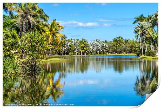 Palm Trees Reflection Fairchild Garden Coral Gables Florida Print by William Perry