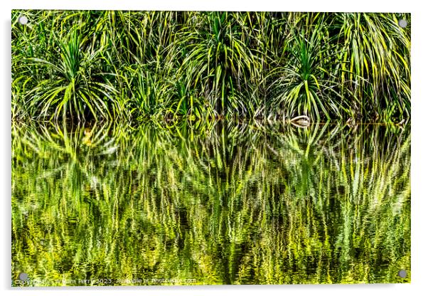 Pandanus Reflection Fairchild Garden Coral Gables Florida Acrylic by William Perry
