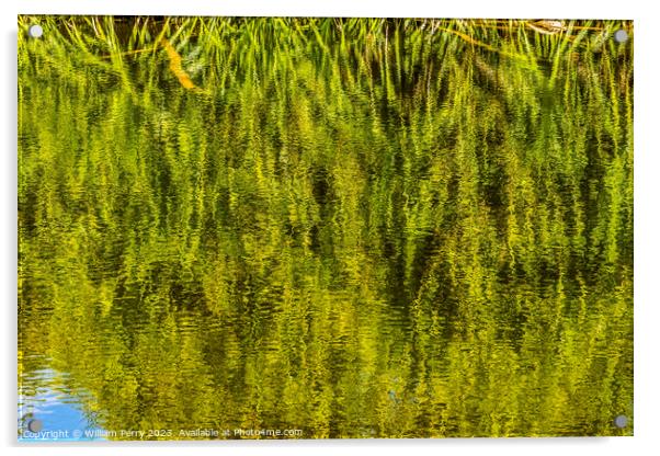 Pandanus Reflection Fairchild Garden Coral Gables Florida Acrylic by William Perry