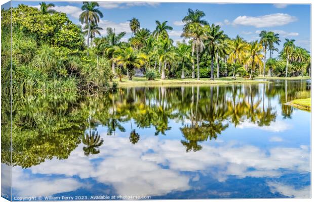 Palm Trees Green Leaves Reflection Fairchild Garden Coral Gables Canvas Print by William Perry