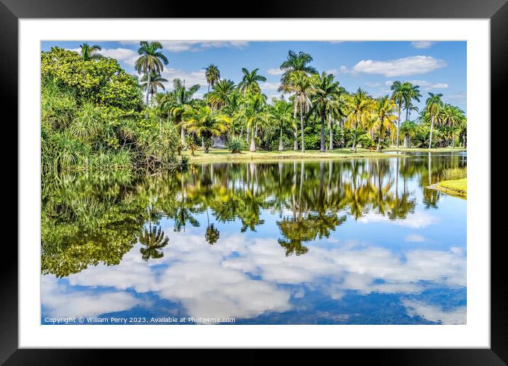 Palm Trees Green Leaves Reflection Fairchild Garden Coral Gables Framed Mounted Print by William Perry