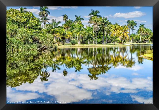 Palm Trees Green Leaves Reflection Fairchild Garden Coral Gables Framed Print by William Perry