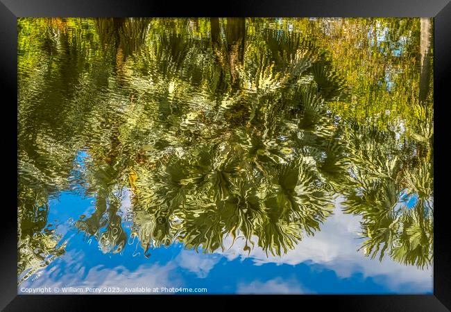 Palm Trees Green Leaves Reflection Fairchild Garden Coral Gables Framed Print by William Perry