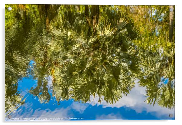 Palm Trees Green Leaves Reflection Fairchild Garden Coral Gables Acrylic by William Perry