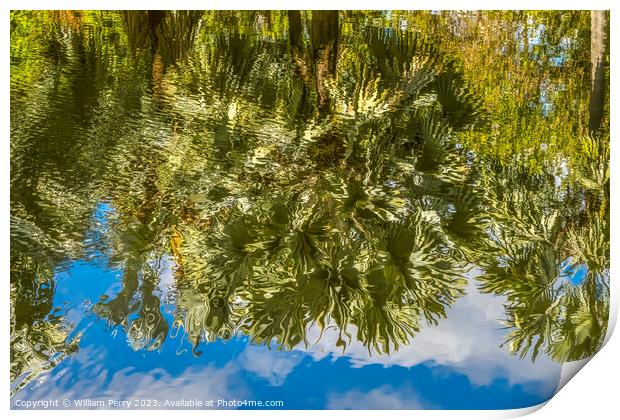 Palm Trees Green Leaves Reflection Fairchild Garden Coral Gables Print by William Perry