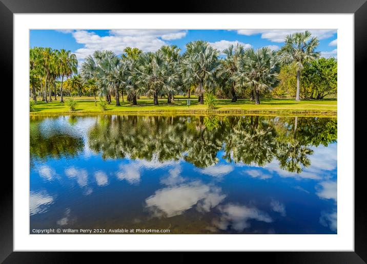 Palm Trees Reflection Fairchild Garden Coral Gables Florida  Framed Mounted Print by William Perry
