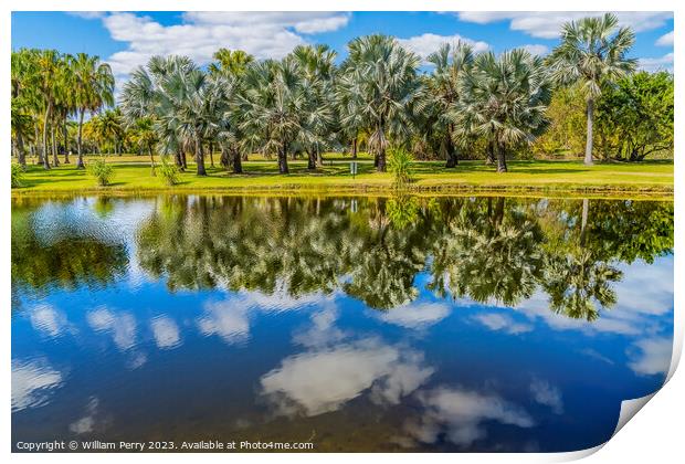 Palm Trees Reflection Fairchild Garden Coral Gables Florida  Print by William Perry