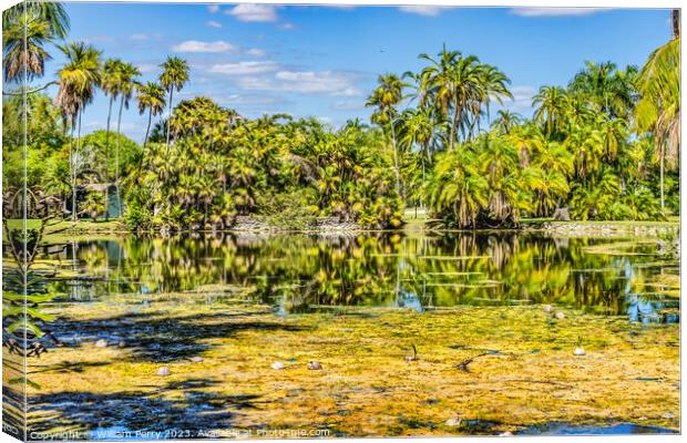 Palm Trees Coconuts Lake Reflection Fairchild Garden Coral Gable Canvas Print by William Perry