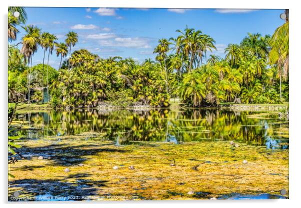 Palm Trees Coconuts Lake Reflection Fairchild Garden Coral Gable Acrylic by William Perry