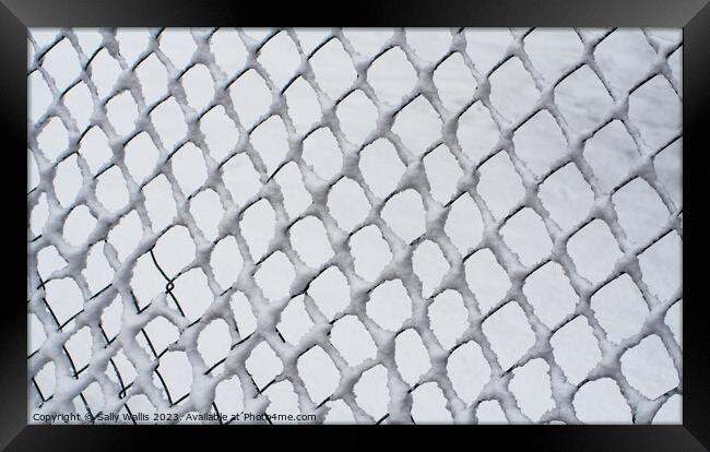 Snow on Chain Link Fencing Framed Print by Sally Wallis