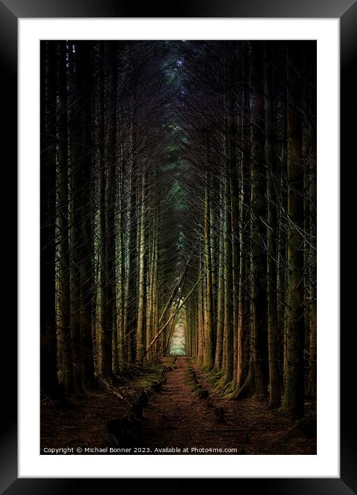 Soft light through the forest Framed Mounted Print by Michael Bonner
