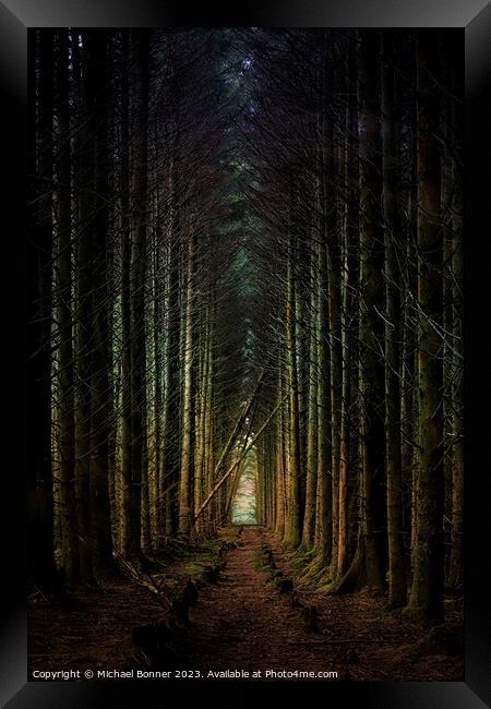 Soft light through the forest Framed Print by Michael Bonner