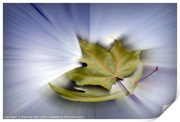 Flying maple leaves Print by Marinela Feier