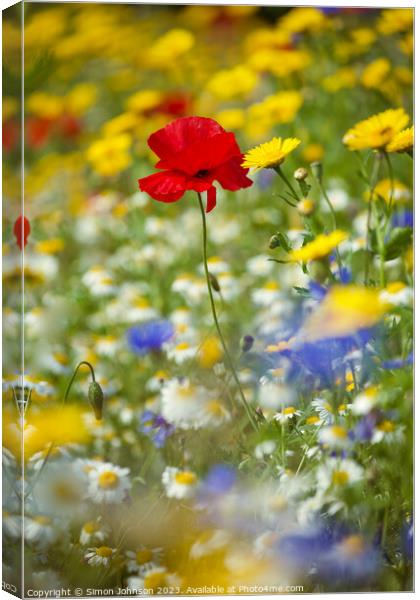 Poppy and meadow flowers  Canvas Print by Simon Johnson