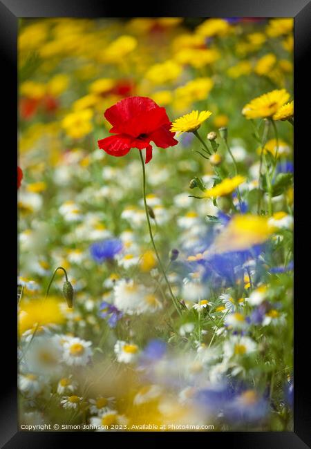 Poppy and meadow flowers  Framed Print by Simon Johnson