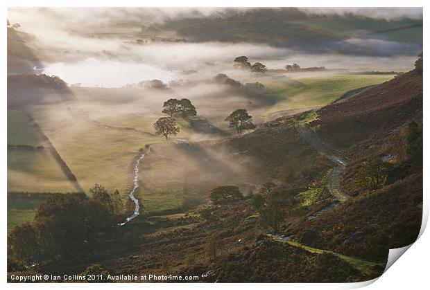 Elan Valley Mist 2011 Print by Ian Collins