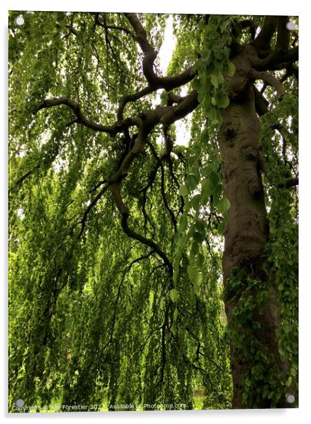 Under the Willow Acrylic by Alix Forestier