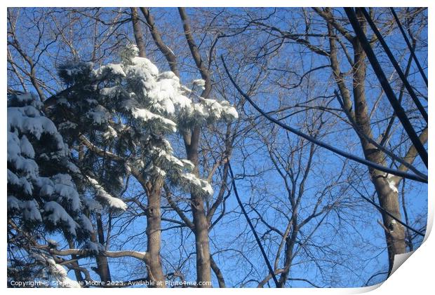 Snow laden tree Print by Stephanie Moore