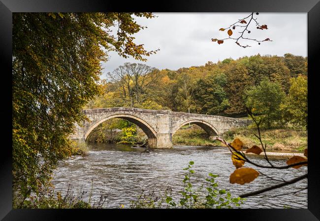 Barden Bridge in autumn Framed Print by Jason Wells