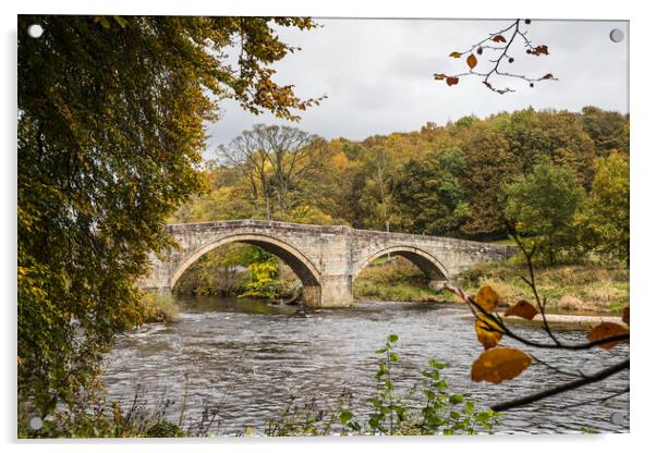 Barden Bridge in autumn Acrylic by Jason Wells