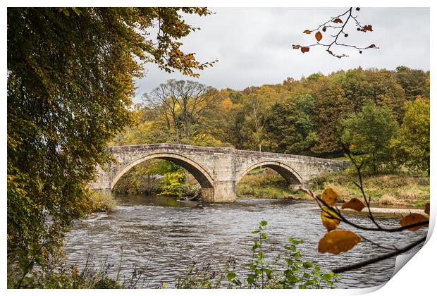 Barden Bridge in autumn Print by Jason Wells